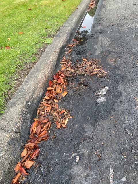 Roading/Streets, a report photo
