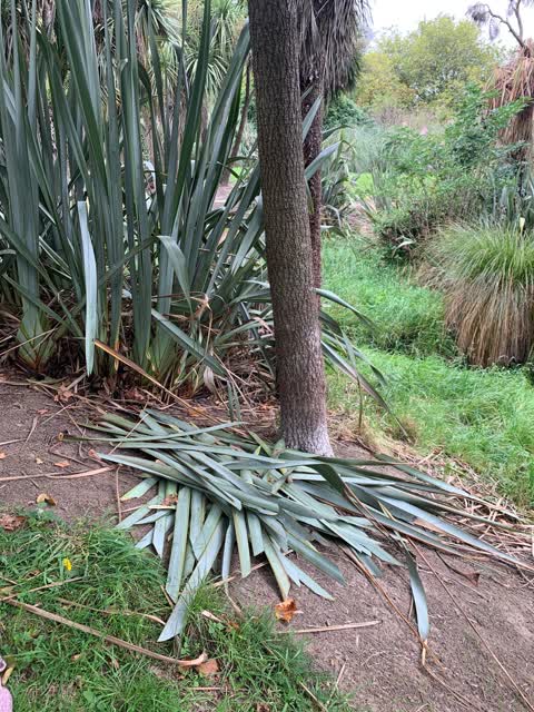 Rubbish/Recycling, a report photo