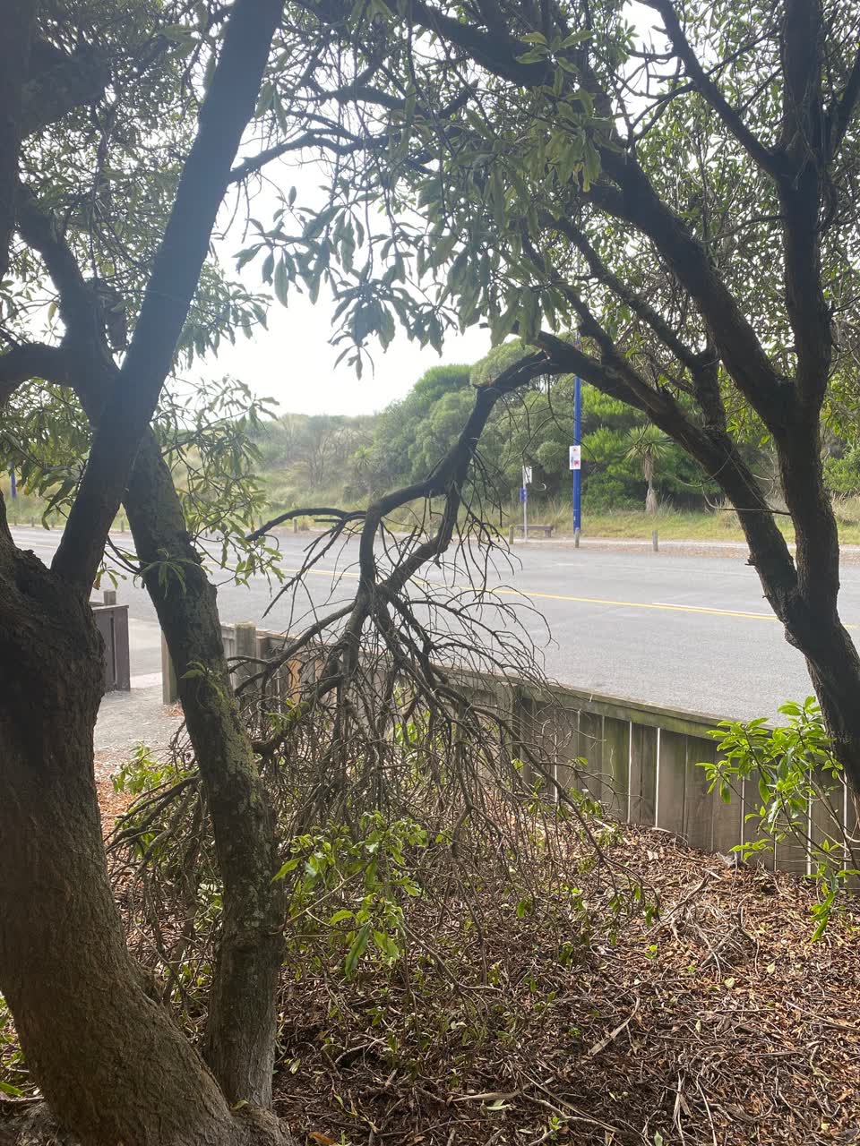 The photograph attached to this parks report