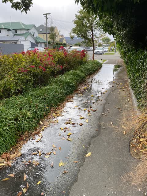 Water Leak, a report photo
