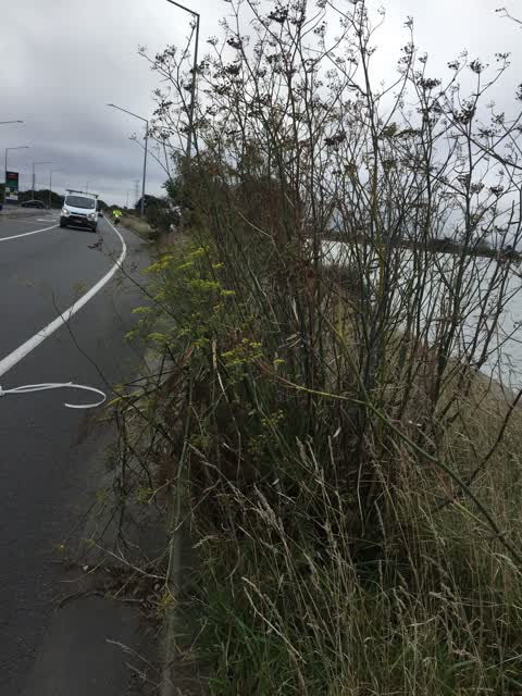 Roading/Streets, a report photo