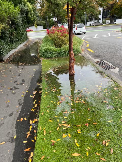 Water Leak, a report photo