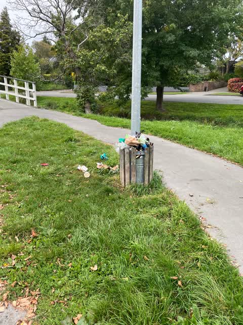 Rubbish/Recycling — a report photo