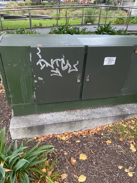 Graffiti — a report photo