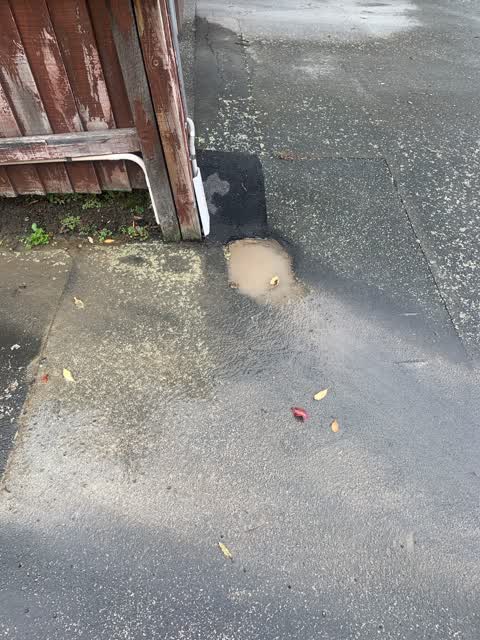 Water Leak, a report photo