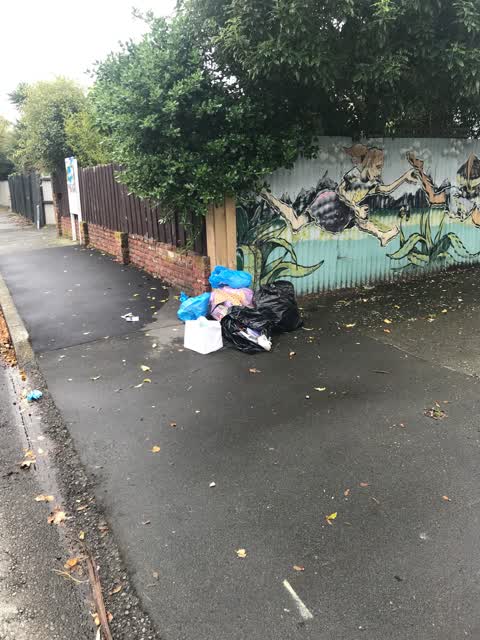 Rubbish/Recycling, a report photo