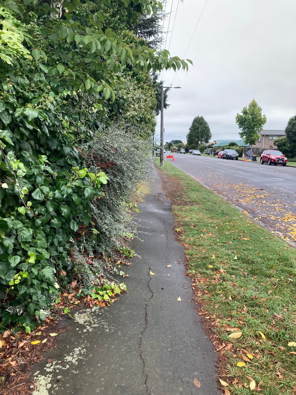 The photograph attached to this roading/streets report