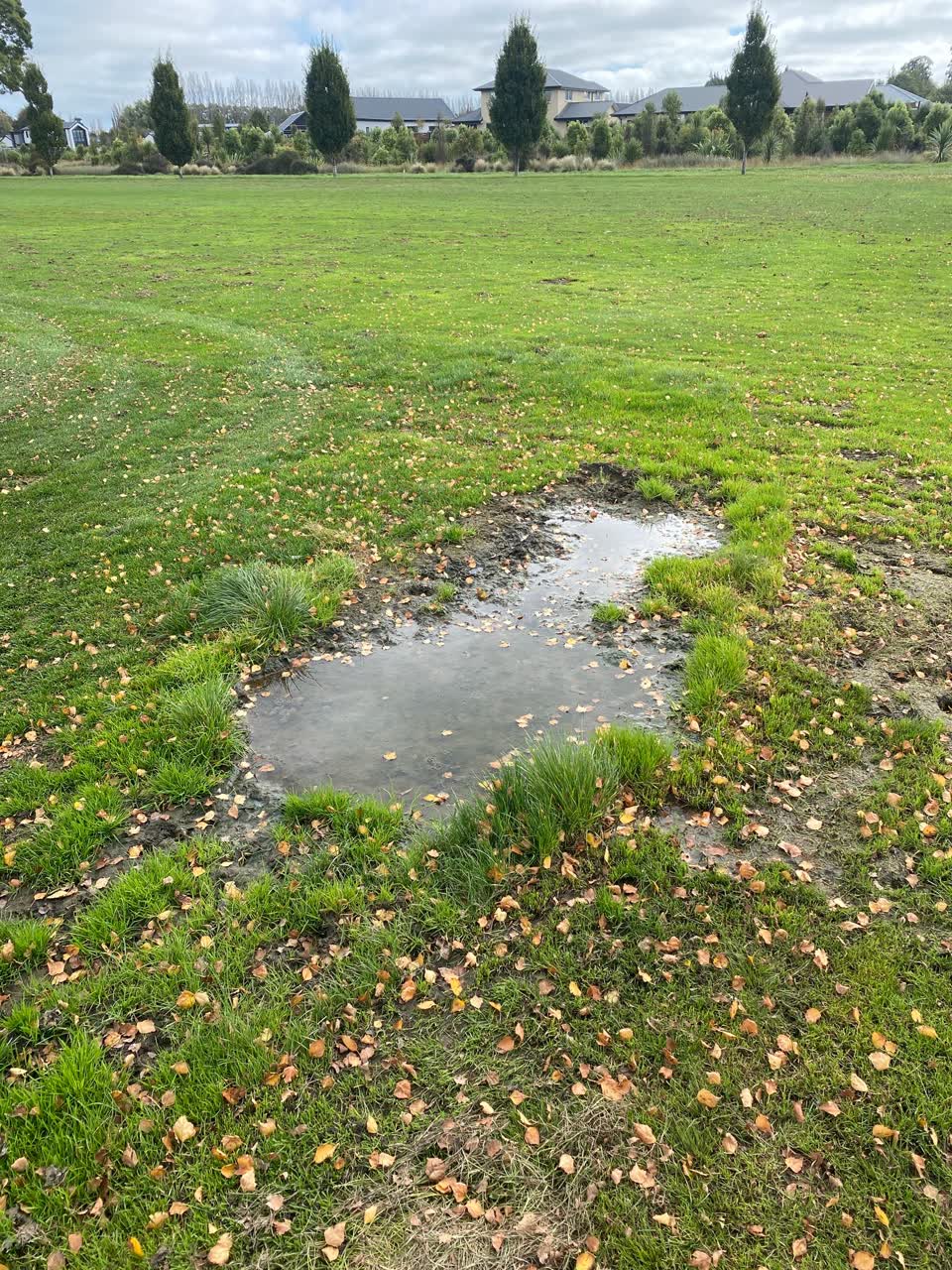 The photograph attached to this parks report