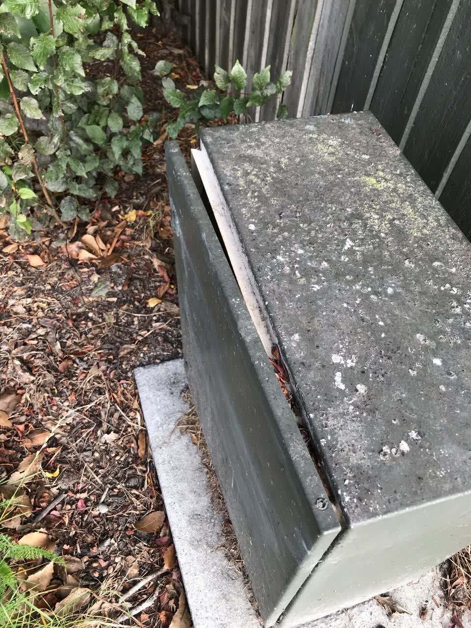 The photograph attached to this parks report