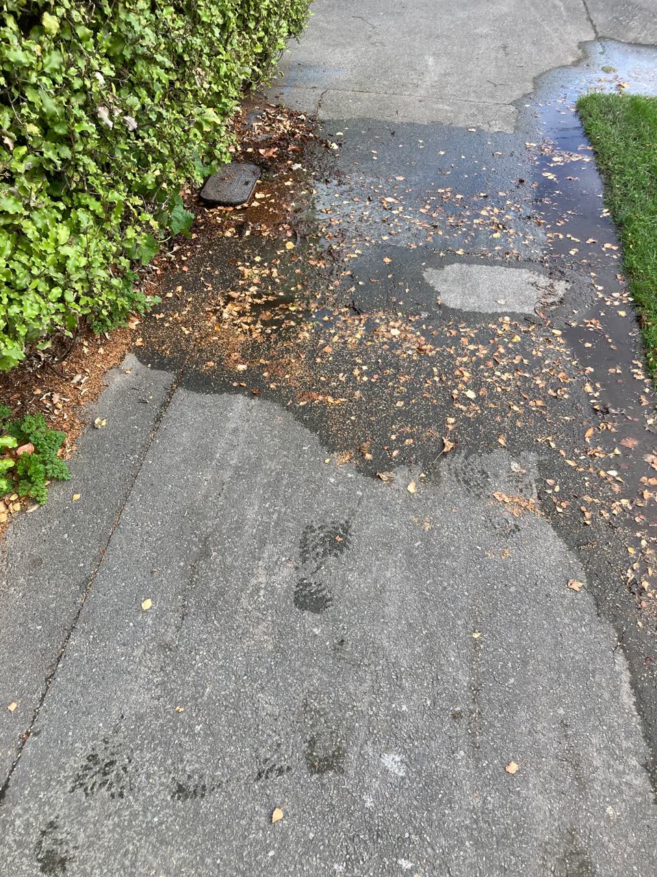 The photograph attached to this water leak report