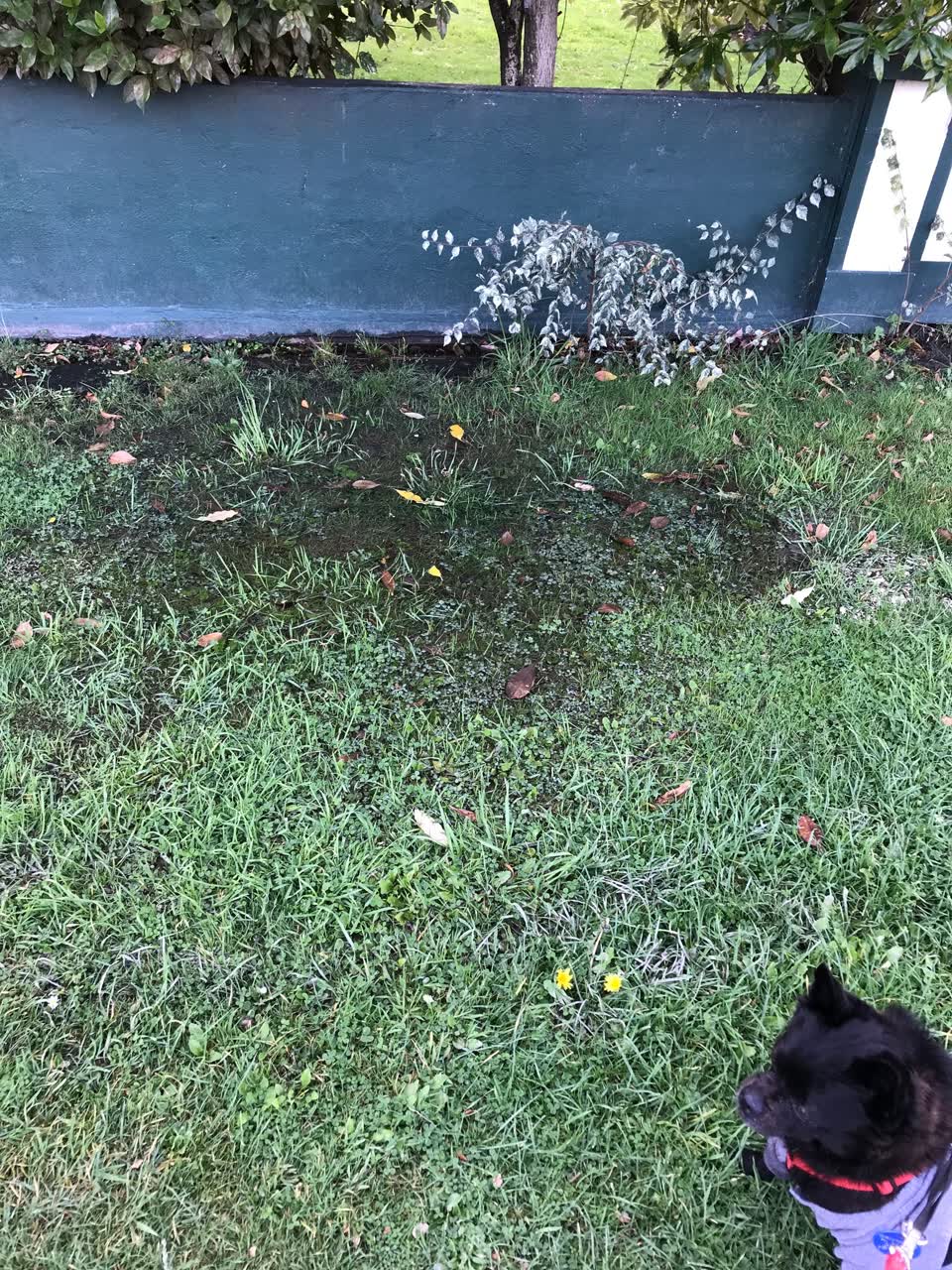 The photograph attached to this water leak report