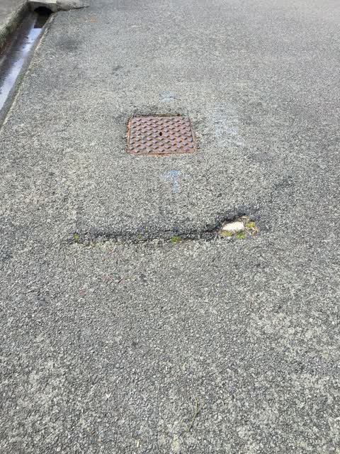 Roading/Streets, a report photo