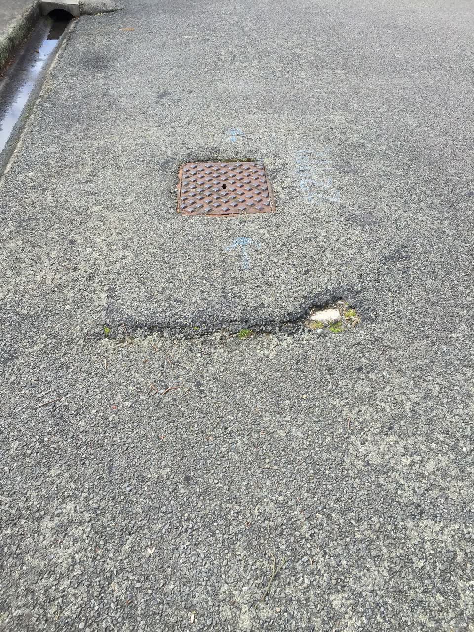 The photograph attached to this roading/streets report
