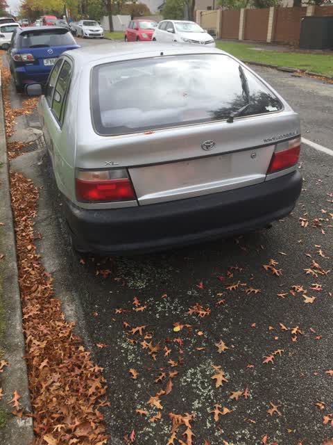 Roading/Streets, a report photo