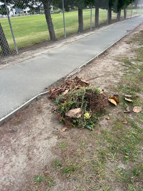 Rubbish/Recycling, a report photo