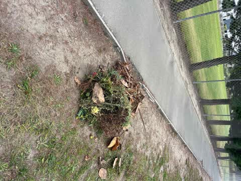 Rubbish/Recycling, a report photo