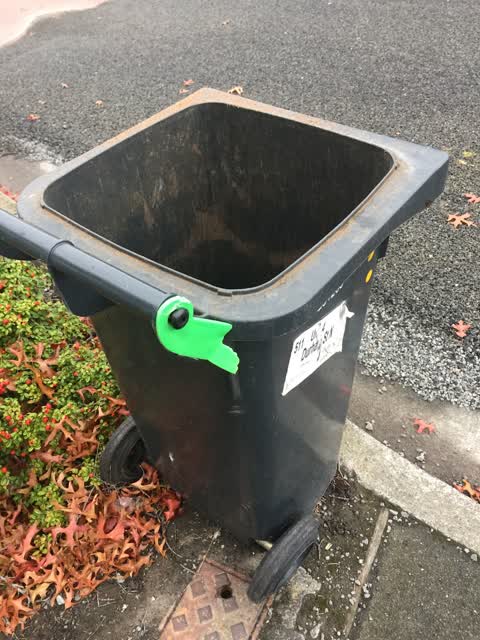 Rubbish/Recycling, a report photo