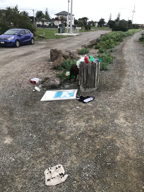 Rubbish/Recycling, a report photo