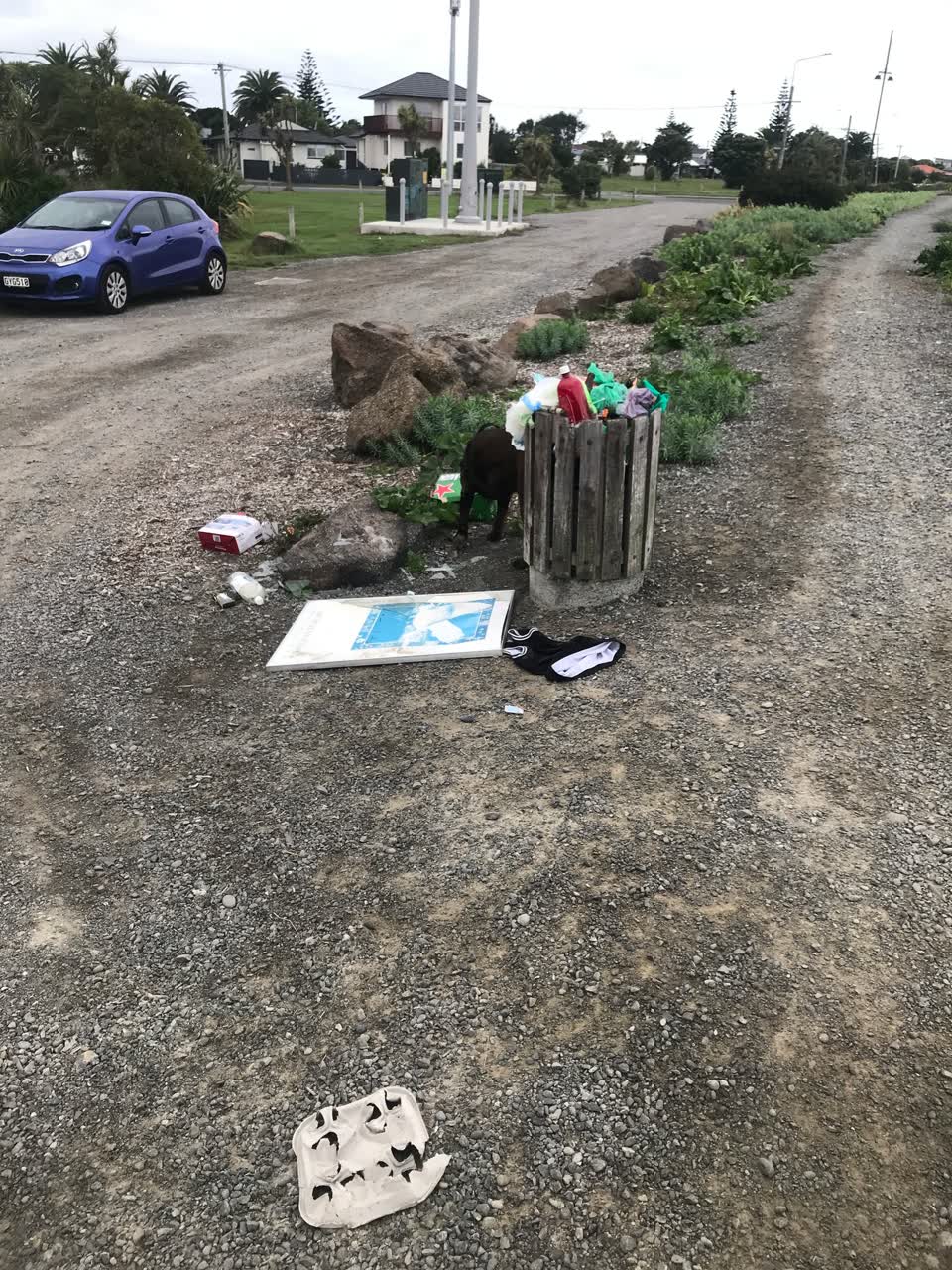 The photograph attached to this rubbish/recycling report