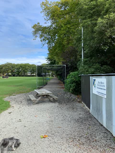 Parks, a report photo