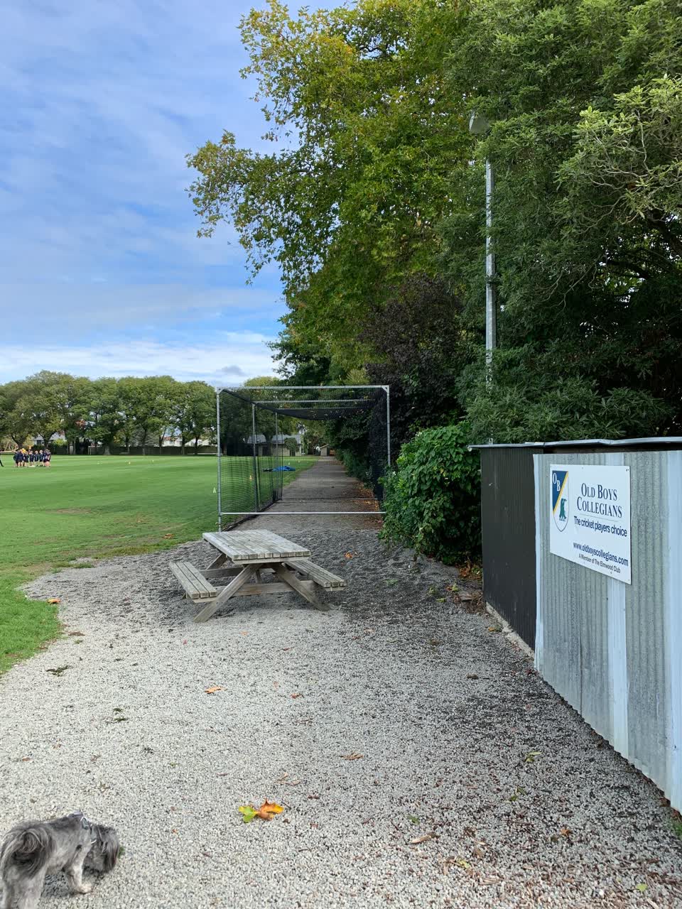 The photograph attached to this parks report