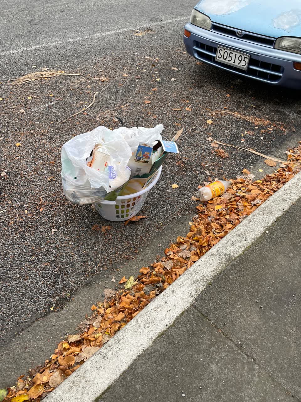 The photograph attached to this rubbish/recycling report