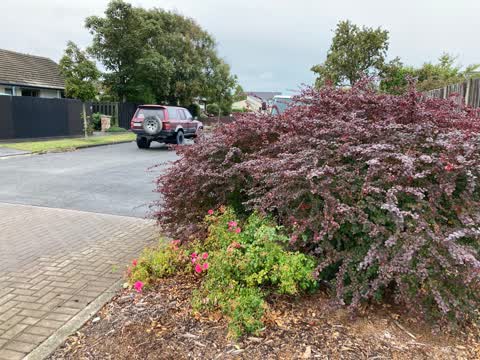 Roading/Streets, a report photo