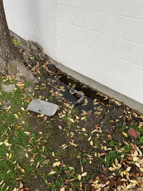 Water Leak, a report photo