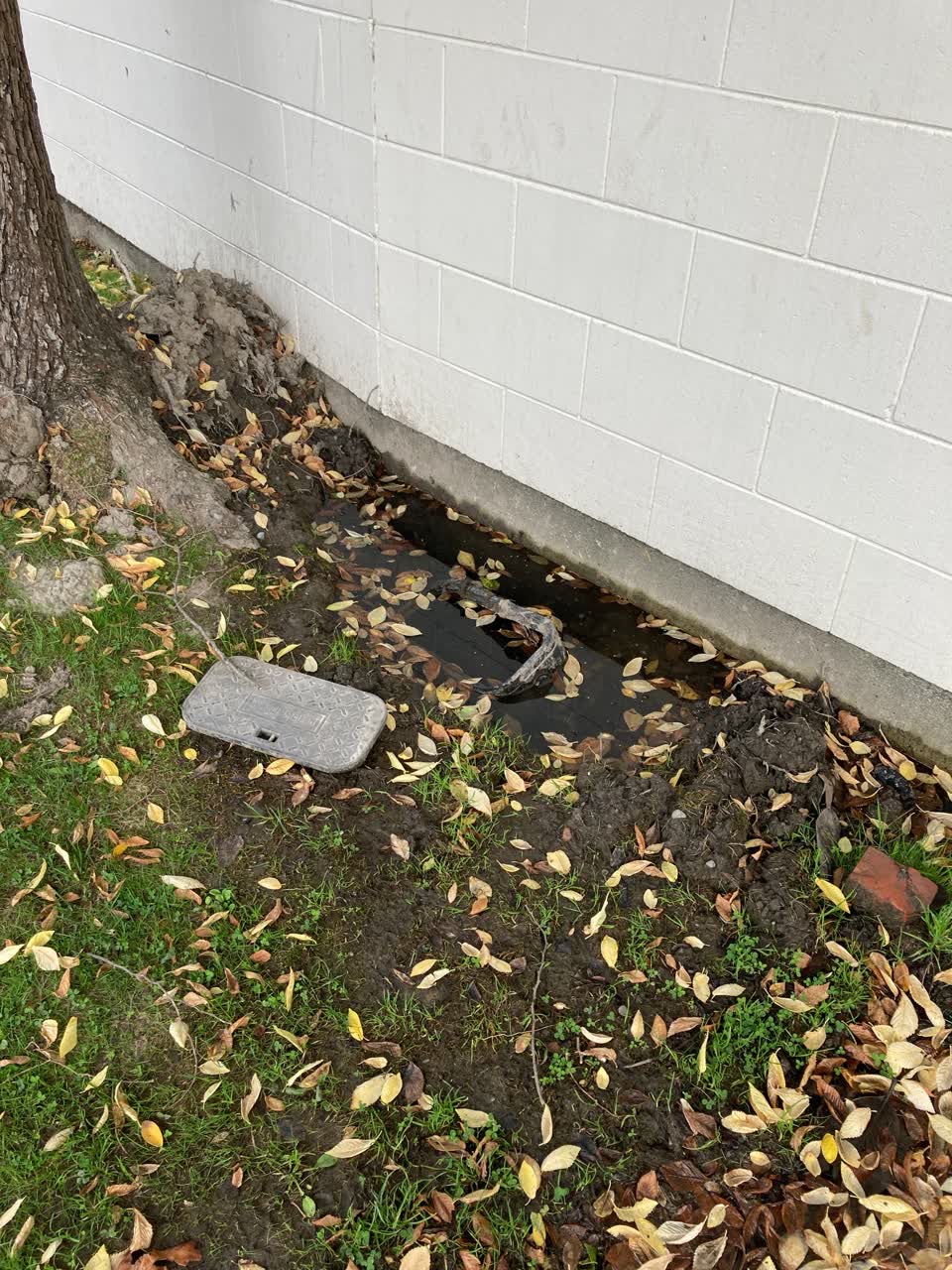 The photograph attached to this water leak report