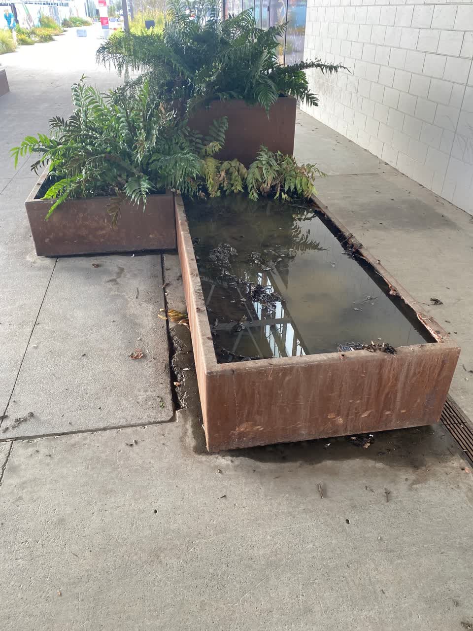 The photograph attached to this parks report