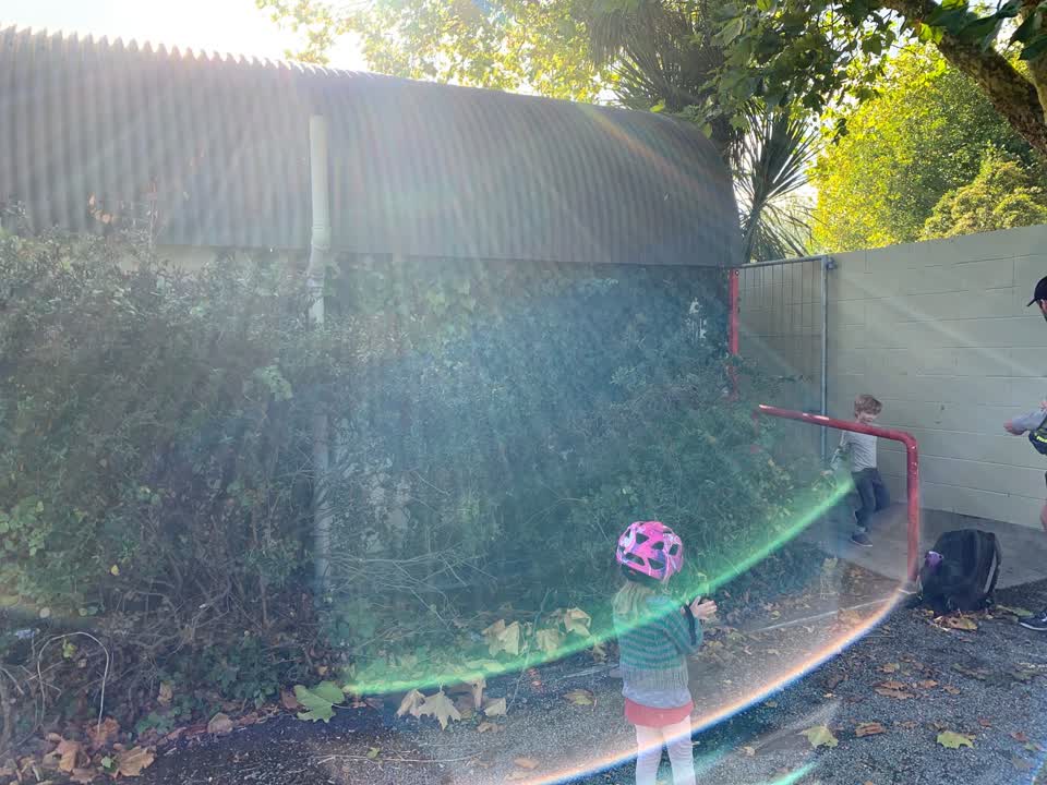 The photograph attached to this parks report