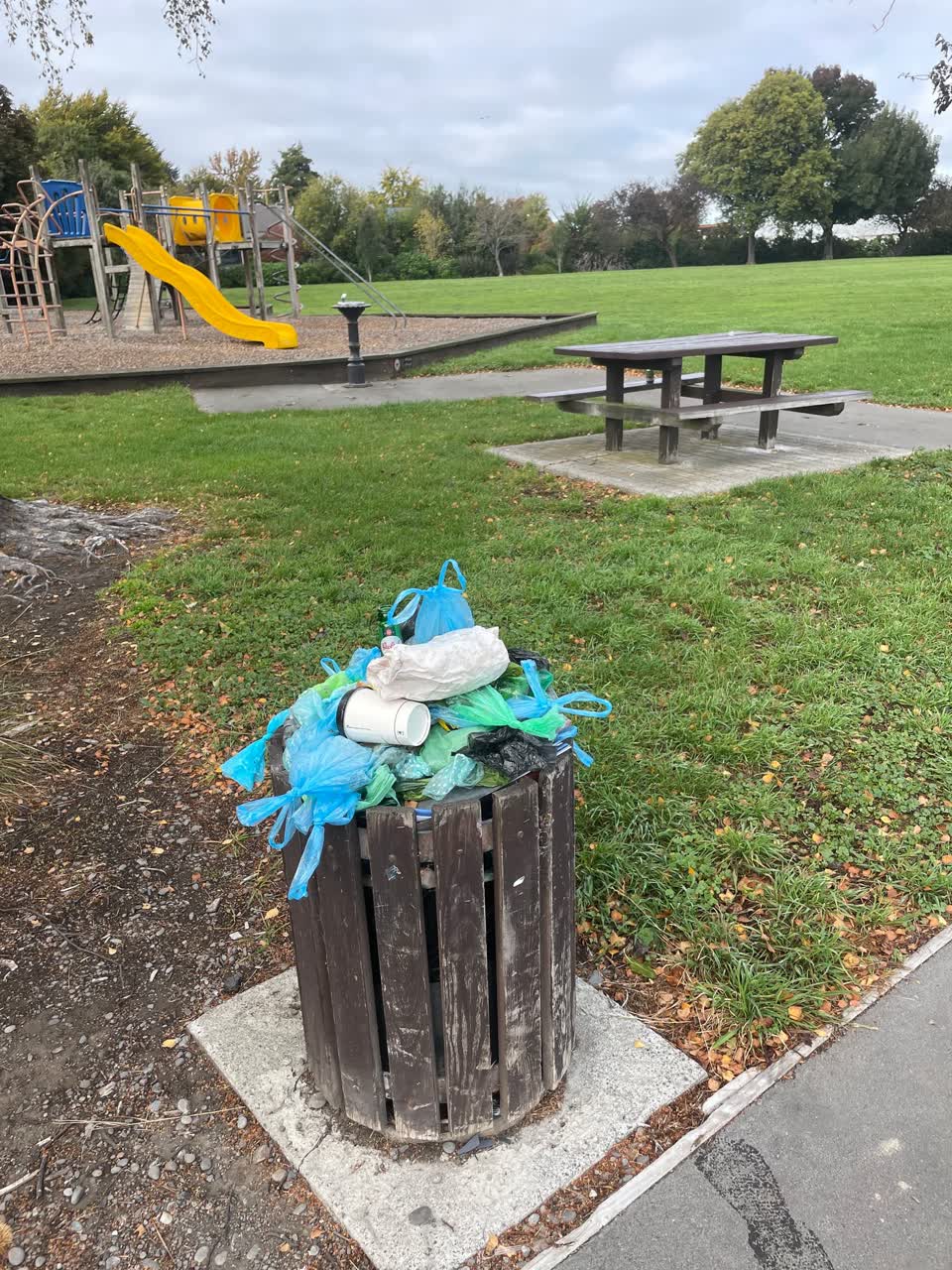 The photograph attached to this rubbish/recycling report