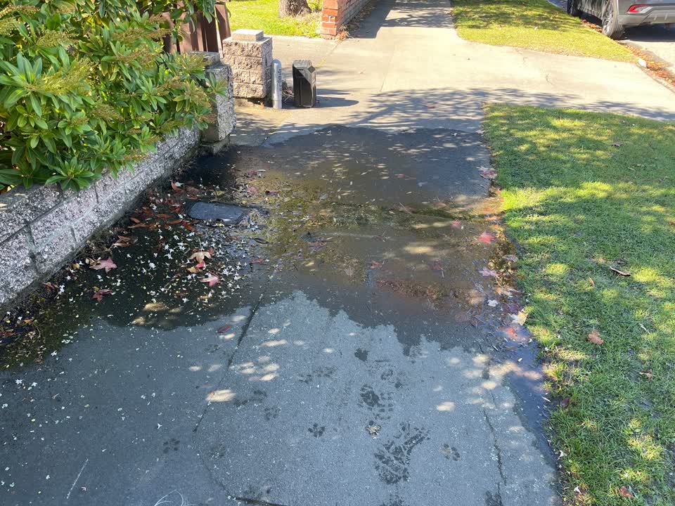 The photograph attached to this water leak report