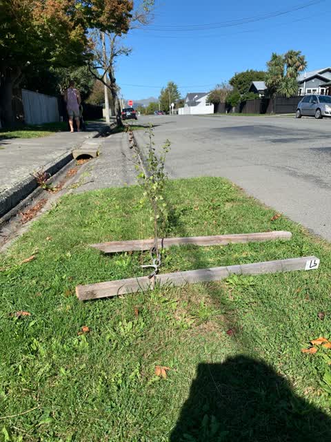 Roading/Streets, a report photo