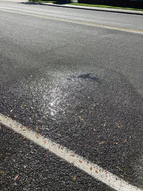 Water Leak, a report photo