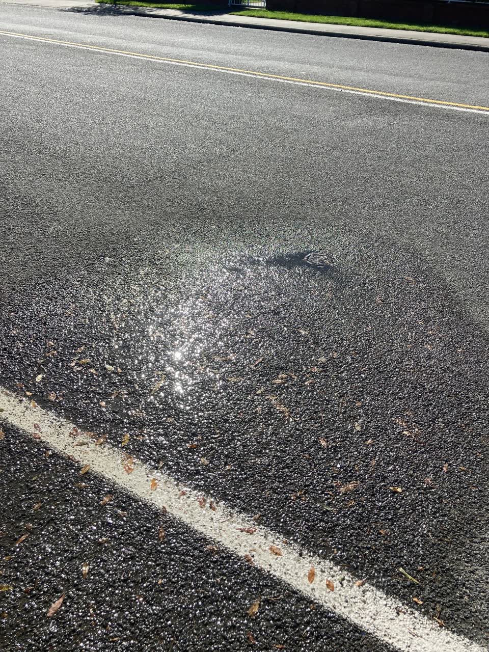 The photograph attached to this water leak report