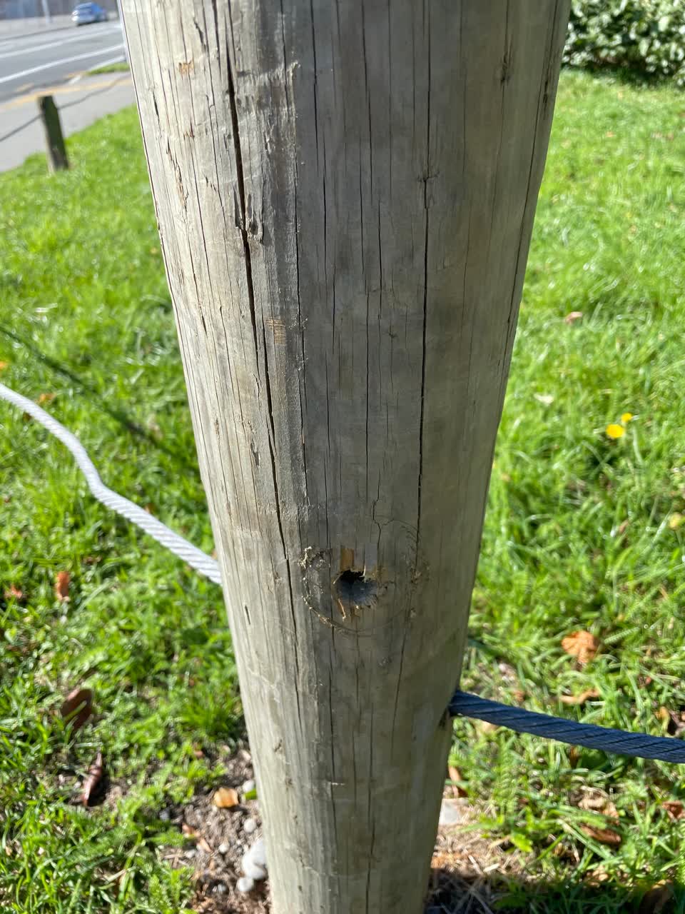 The photograph attached to this parks report