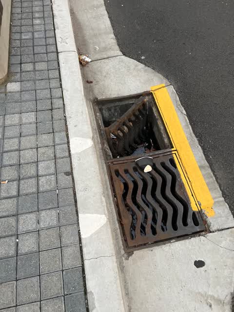 Sewer - General, a report photo