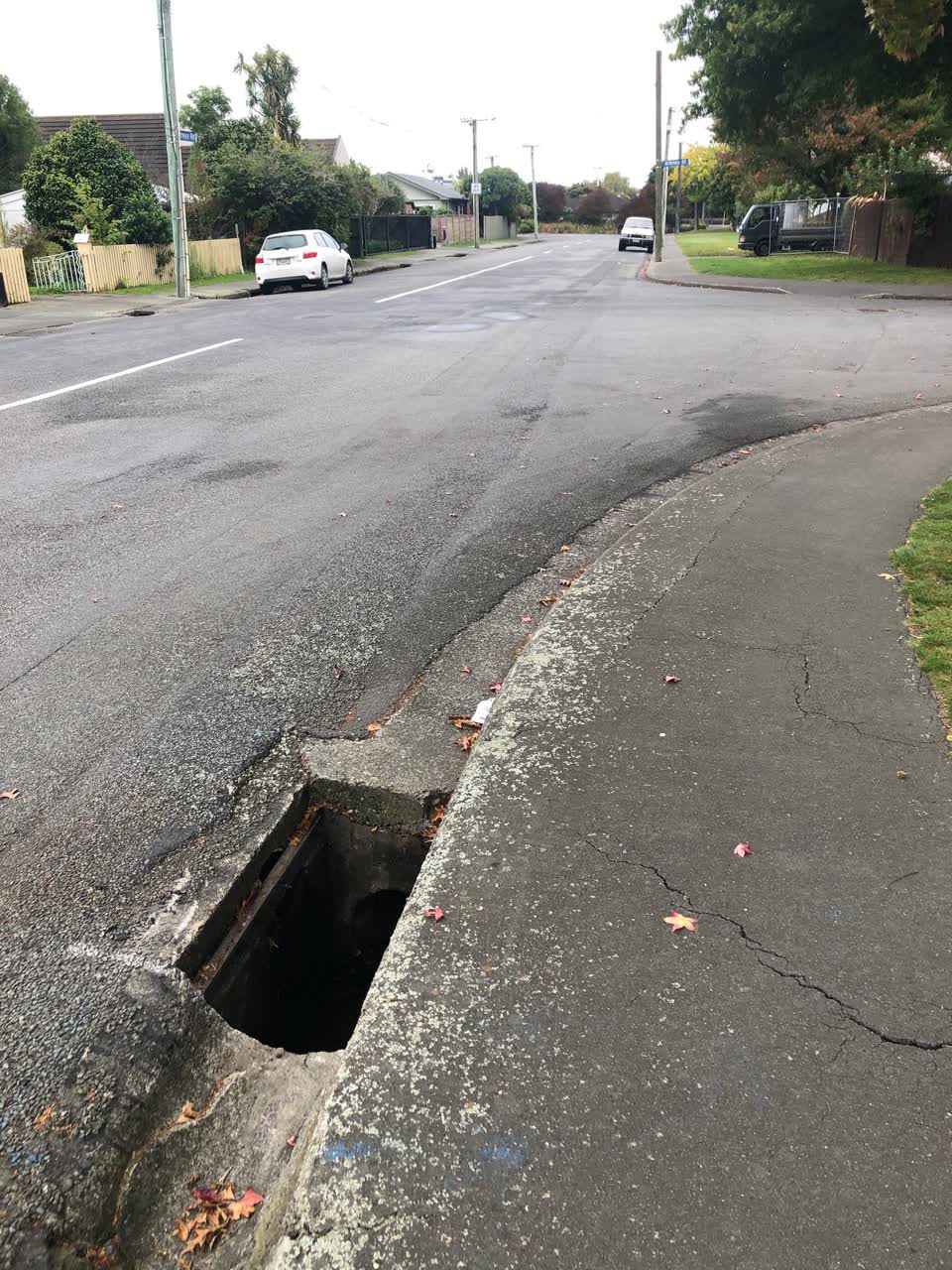 The photograph attached to this roading/streets report