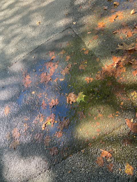 Water Leak, a report photo