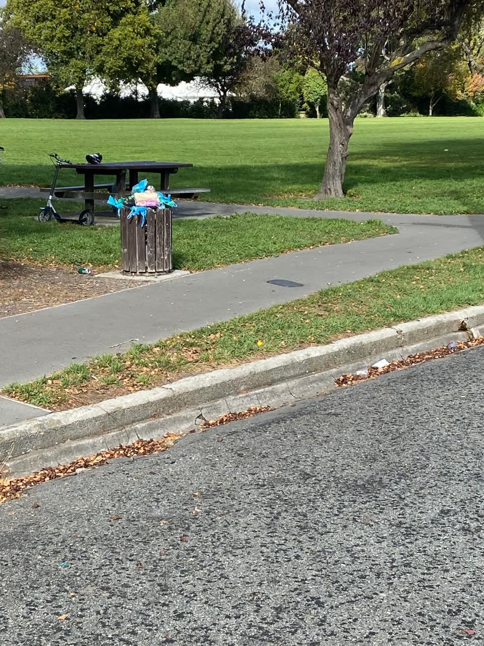 The photograph attached to this rubbish/recycling report