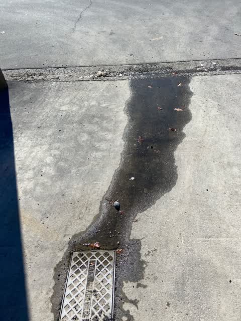 Water Leak, a report photo