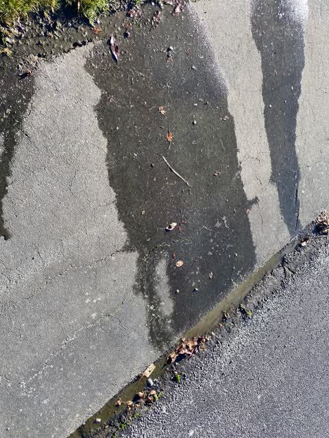 Water Leak, a report photo