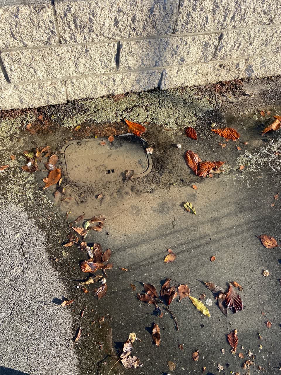 The photograph attached to this water leak report