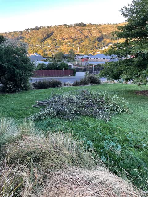 Parks — a report photo