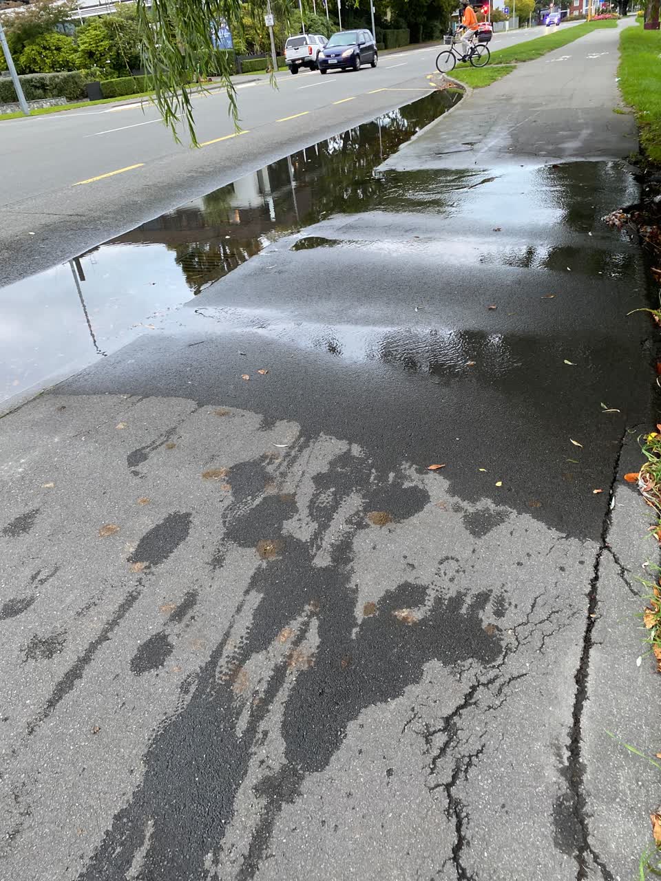 The photograph attached to this water leak report