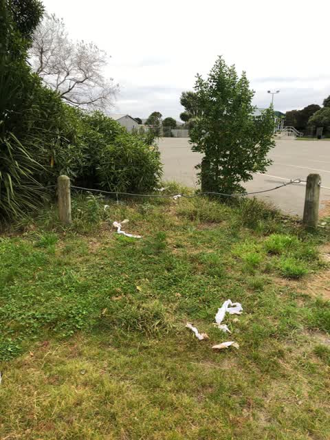 Parks, a report photo