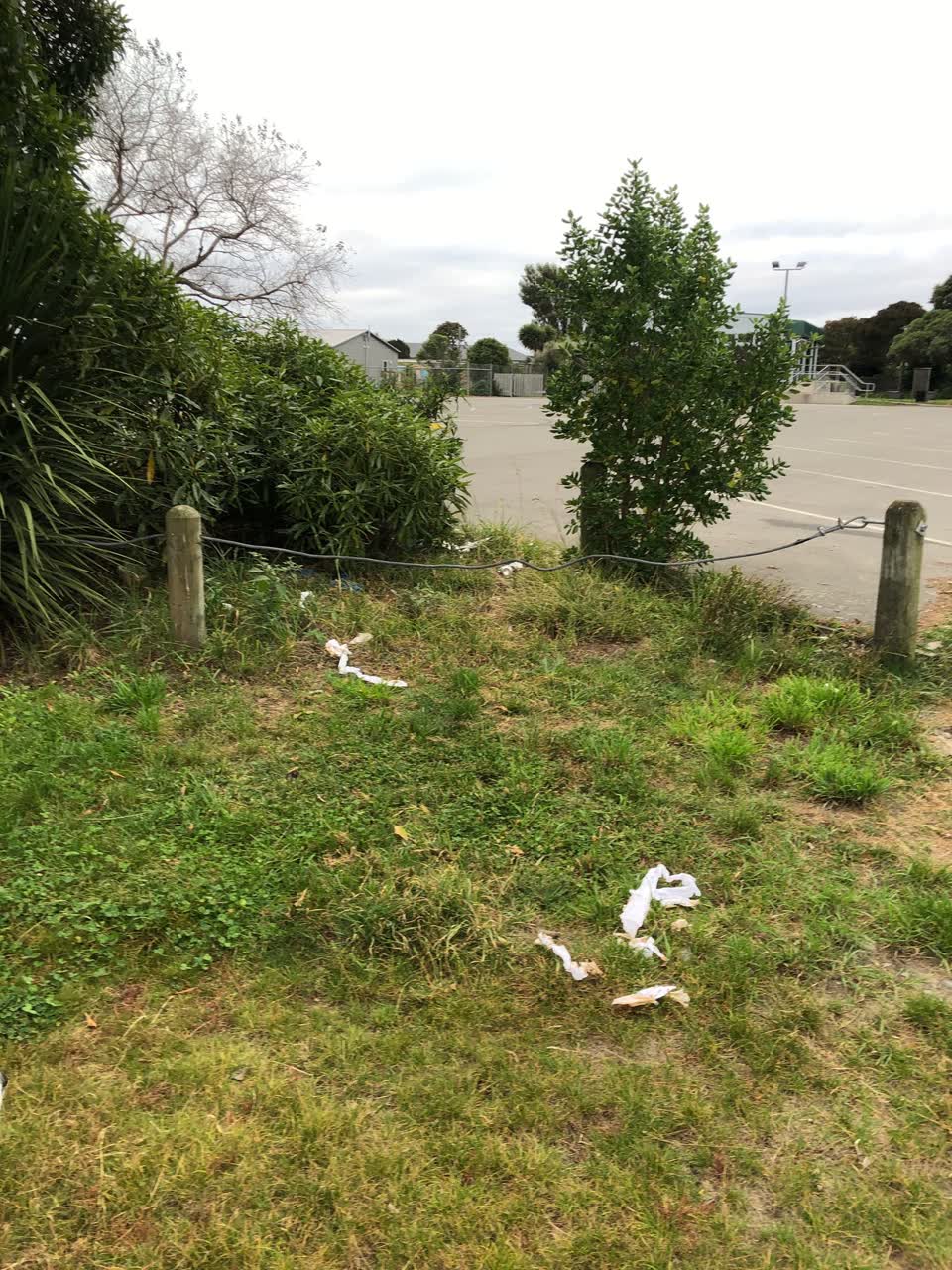The photograph attached to this parks report