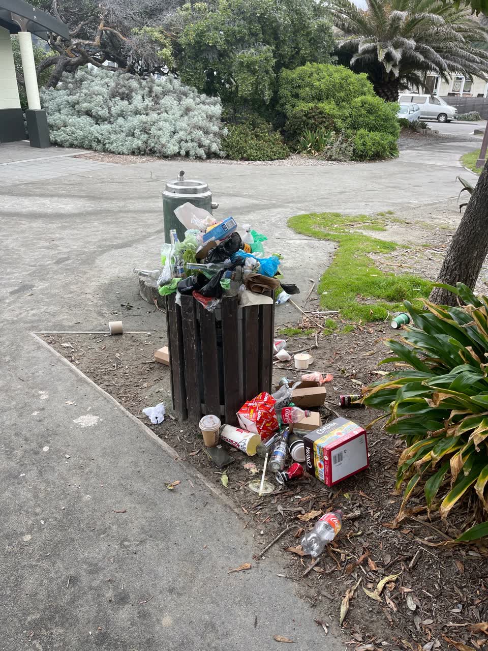 The photograph attached to this rubbish/recycling report