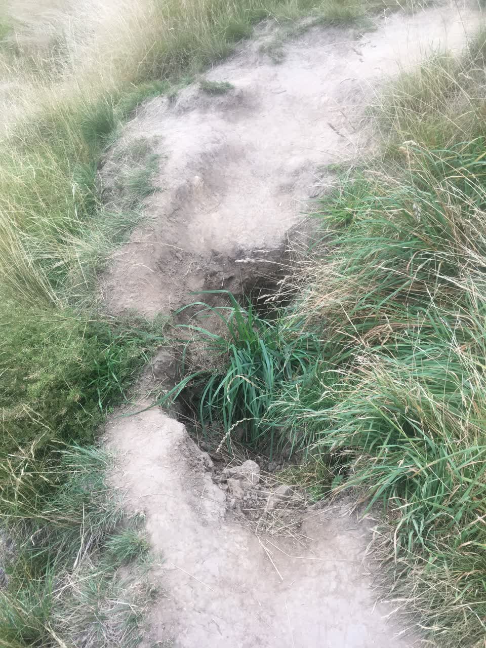 The photograph attached to this parks report